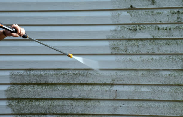 Best Building Exterior Washing  in Red Lick, TX